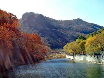 新澳天天开奖资料大全旅游团，黄麻绳